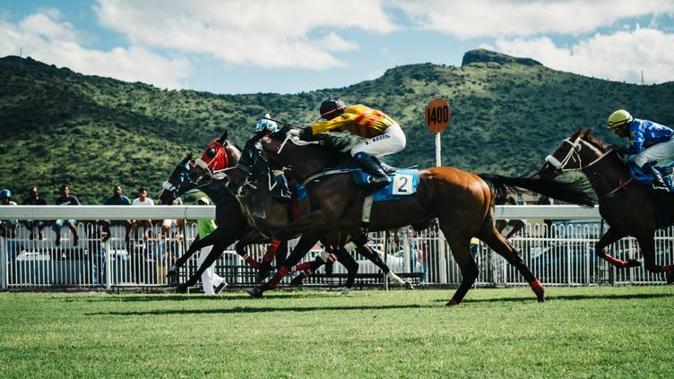 Racehorses and jockeys competing on a turf course