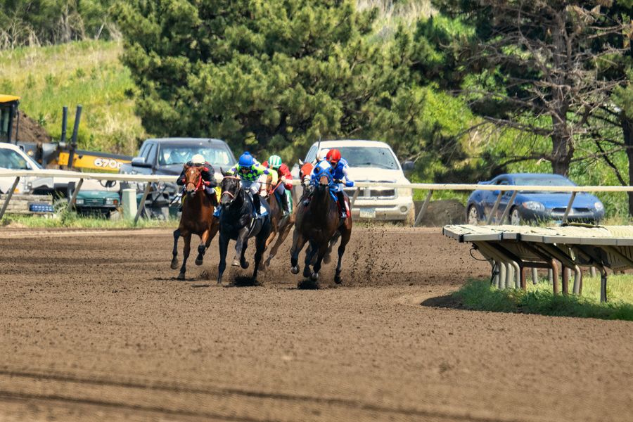 Thoroughbred racehorses competing on a dirt track