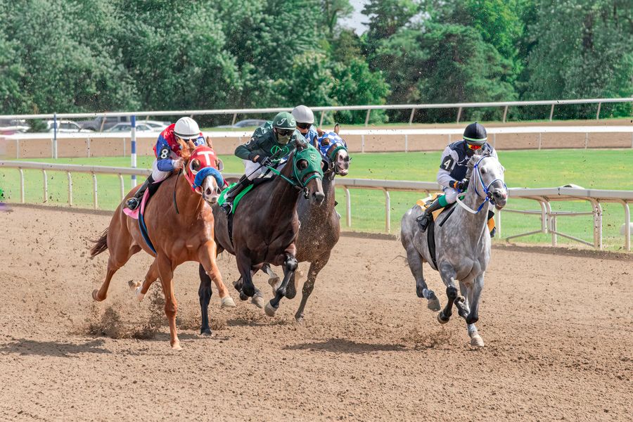 A field of racehorses competing on a dirt track
